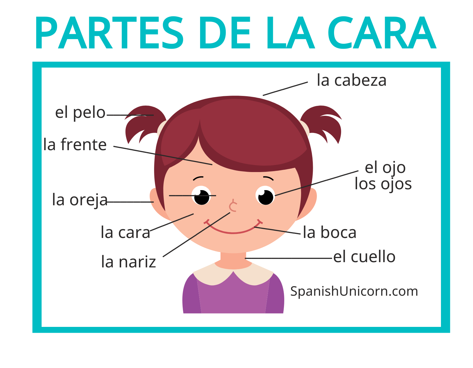 Partes Del Cuerpo En Espanol Con Actividades Y Vocabulario